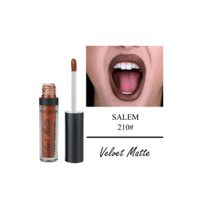 Lip gloss tube labeled Velvet Matte with brown shade, applicator wand beside, open mouth showing dark brown lipstick; reads SALEM 210# and Velvet Matte
